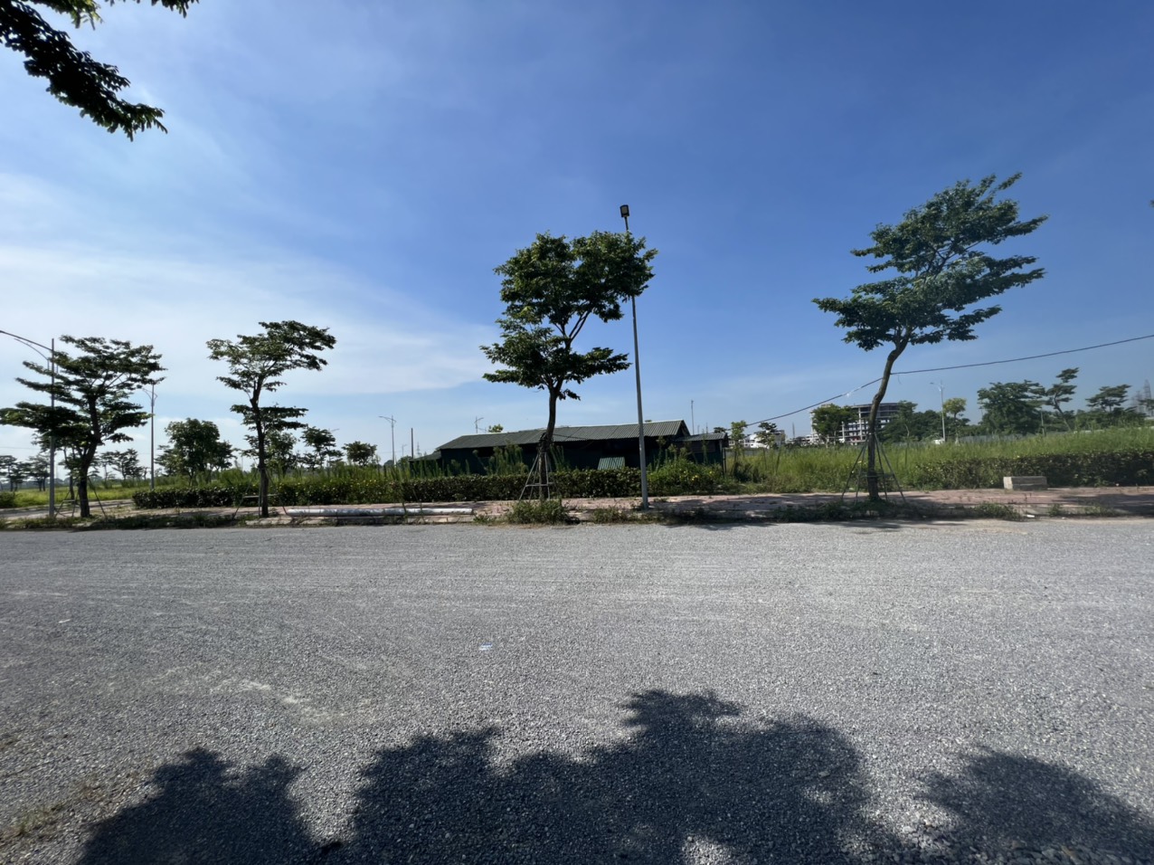 Project Overview